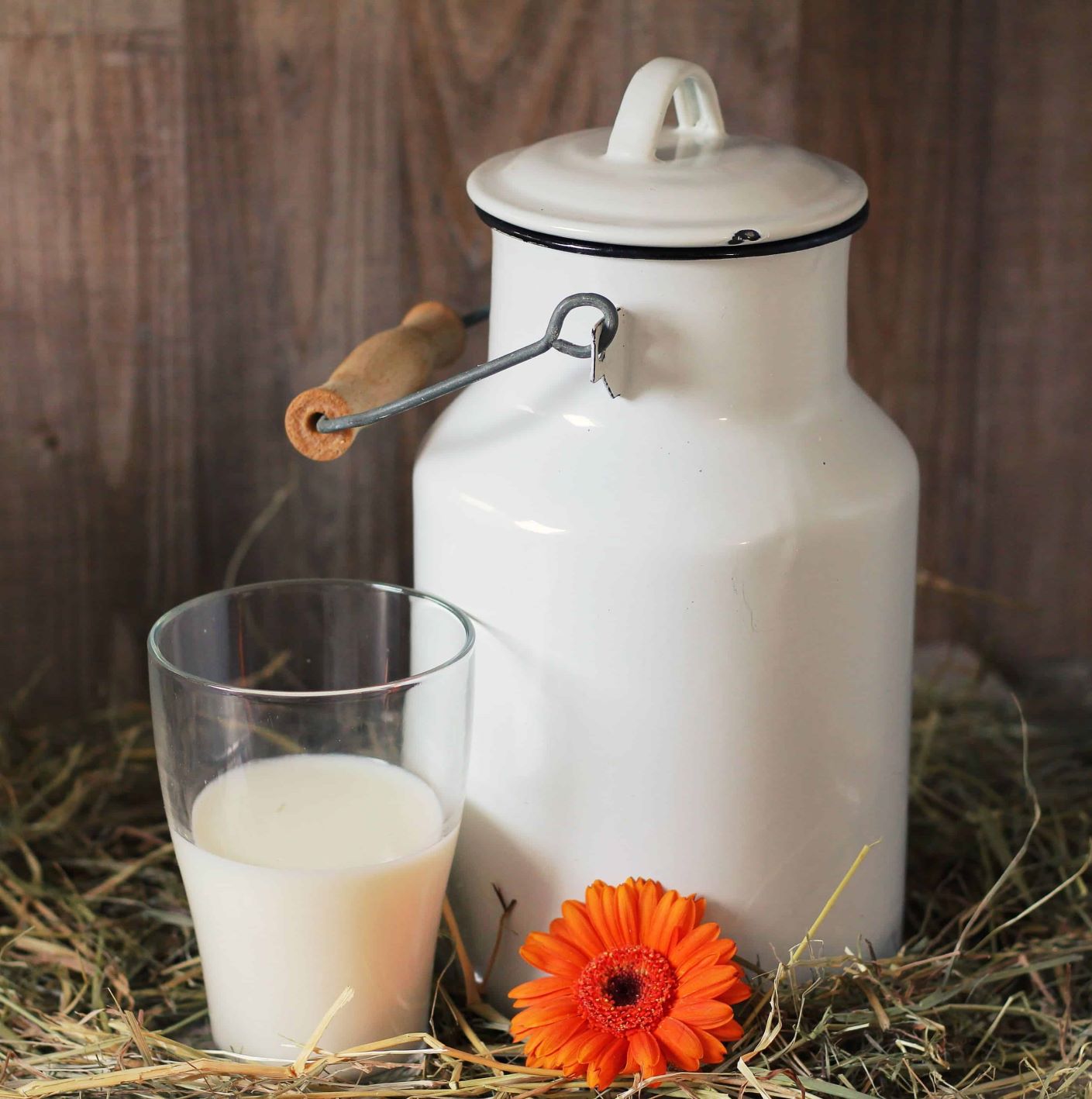 Wieviel ist  die  Milch  dir wert Klimaneutral in Soest